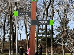 -洨河生态公园