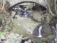 -藏龙百瀑风景区