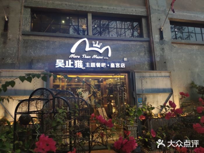 more than meow吴止猫主题餐厅(承德 中船汇店)门面图片