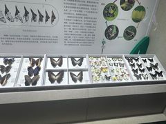 -烟台市博物馆