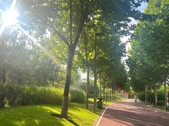 -Supine Bistro溯泮餐厅