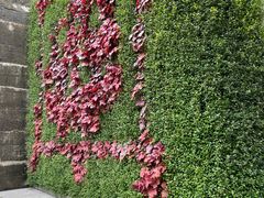 -上海佘山国家森林公园西佘山园