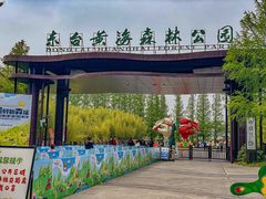 -黄海国家森林公园