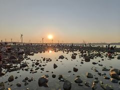 -长江澳风力发电景观区