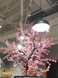点击看大图 -时尚殿堂明星门店