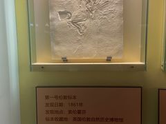 -辽宁古生物博物馆