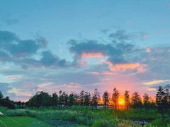 -春花秋色城市公园