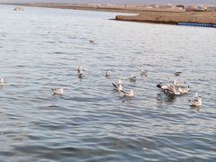 -青海湖二郎剑景区