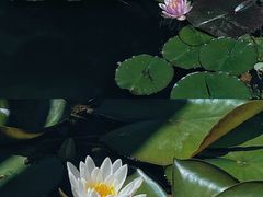 -洛阳白云山景区