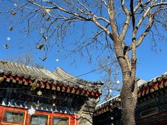 -北京颐和宾馆