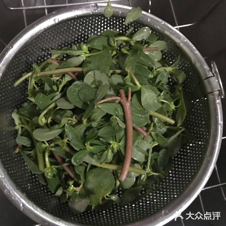 最适合夏天的凉拌蔬菜，凉拌马齿苋