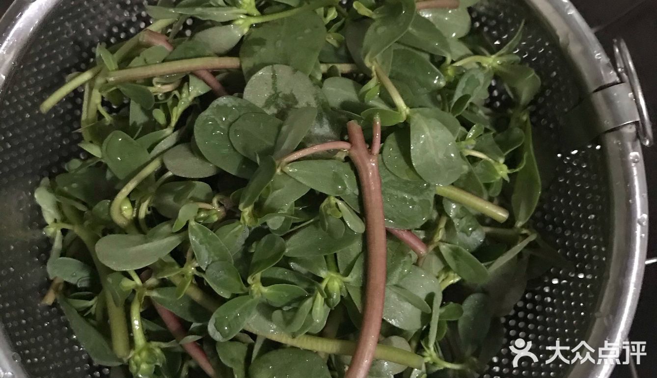 最适合夏天的凉拌蔬菜,凉拌马齿苋