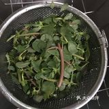 最适合夏天的凉拌蔬菜,凉拌马齿苋