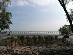 -宝安西湾红树林湿地公园