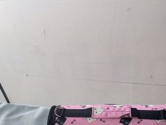 -中农国际动物医院24小时·猫科·骨科·急重症中心