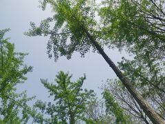 -洨河生态公园