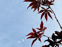 -广州市帽峰山景区
