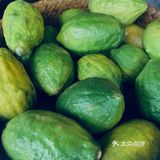 我终于可以出去摊店啦 好开心呀 这是一家小资情调的花