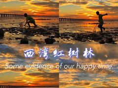 -宝安西湾红树林湿地公园