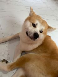 点击看大图 -JX今喜美甲美睫