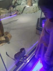 -未来动物城动物主题公园(大悦城店)