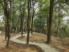 -火炉山森林公园