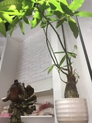 -简影造型·自选烫染接发salon