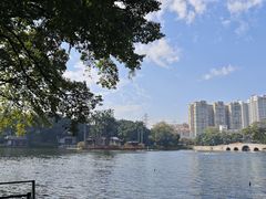 -荔湾湖公园