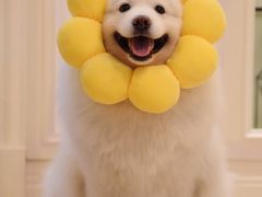 -清泉湾生态旅游度假区