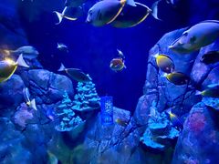 -成都浩海立方海洋公园