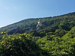 -句容茅山景区