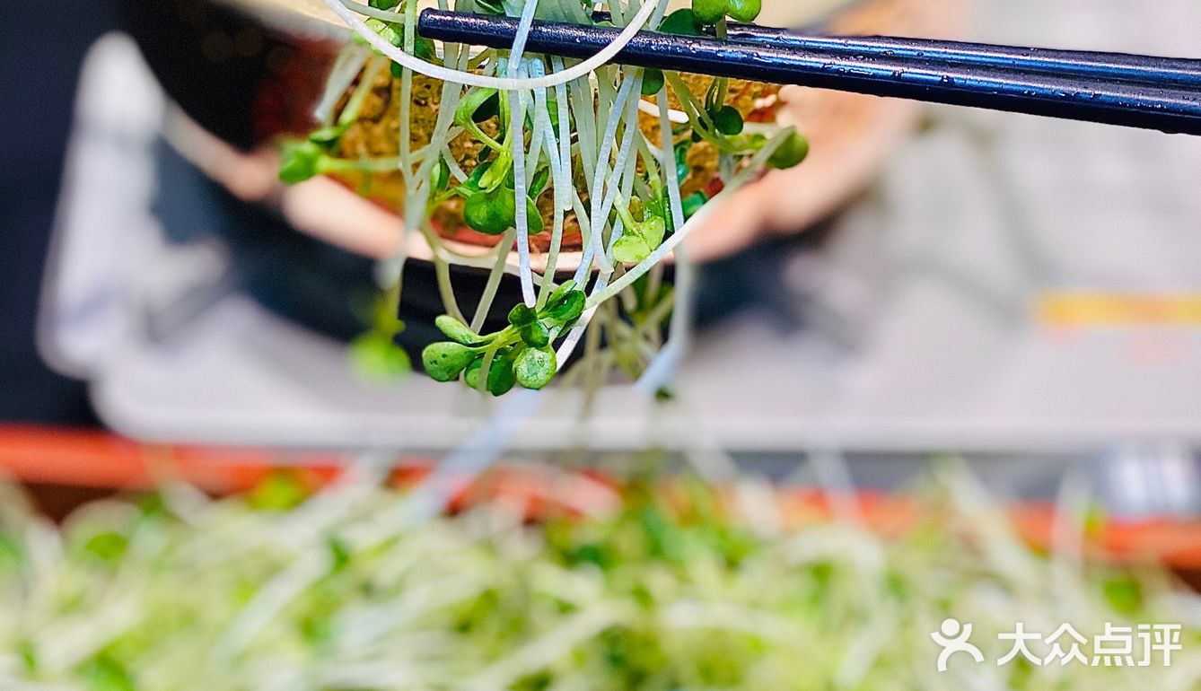 [礼花]宴请首选~番禺气派庭院湘菜