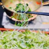 [礼花]宴请首选~番禺气派庭院湘菜