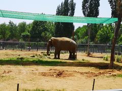 -石家庄市动物园