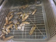 -遇西祠·海鲜烧烤(总店)