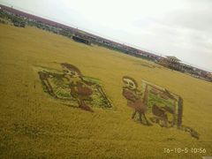 -红海滩国家风景廊道