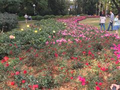 -人民公园(罗湖区)