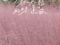 -南湖湿地公园