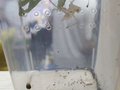 -三旗百汇商品城