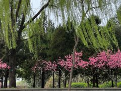 -皇家御河游(紫御湾码头)
