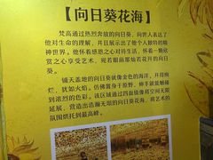 -成都梵高星空艺术馆(春熙路旗舰店)