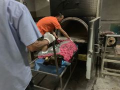 -彩虹桥宠物火化殡葬善终服务(金乐大厦店)