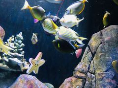 -成都浩海立方海洋公园