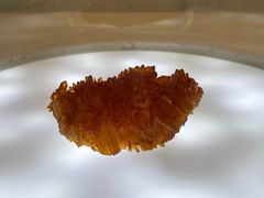 -秦山核电科技馆