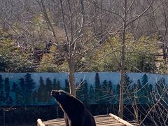 -济南野生动物世界