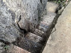 -西华公园