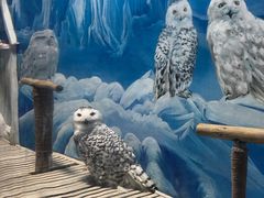 -成都浩海立方海洋公园