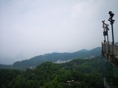 -大金鹰园