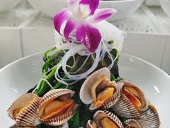 -新海渔港·胶东海鲜家常菜·家宴(奥体中心店)