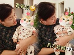 -爱月宝月嫂育儿嫂(太原店)